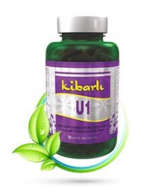 kibarli u1