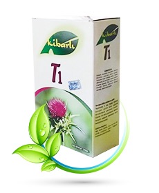 kibarli t1