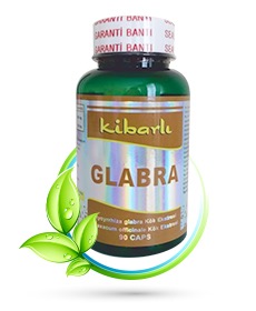 kibarli glabra